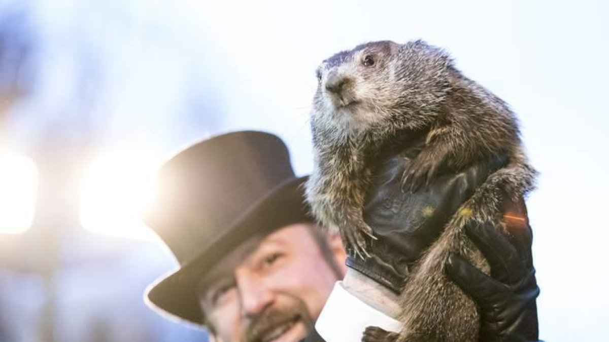 Mor la marmota Milltown Mel hores abans del «Dia de la Marmota»