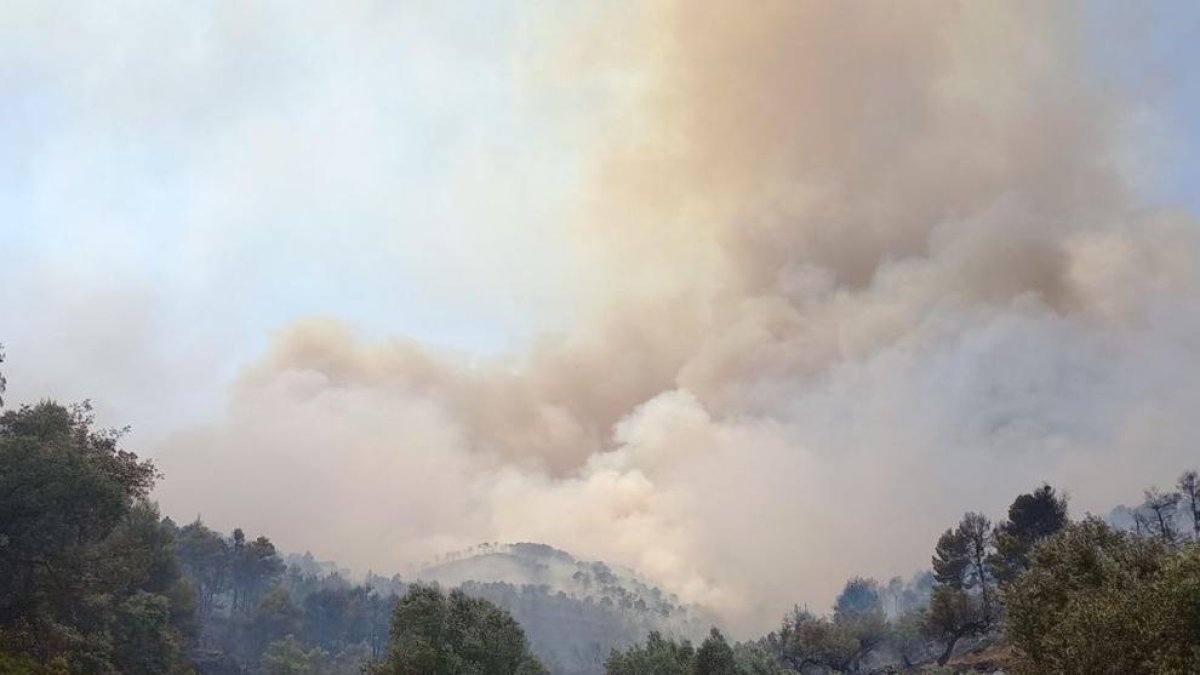 El incendio de Corbera d'Ebre ya afecta a unas 50 hectáreas