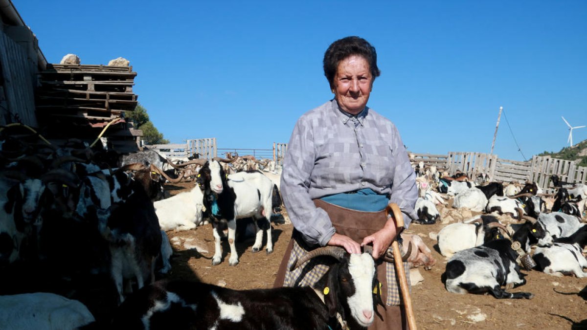 La última pastora de Tortosa: «Las administraciones ponen muchos problemas y el trabajo es muy sacrificado»