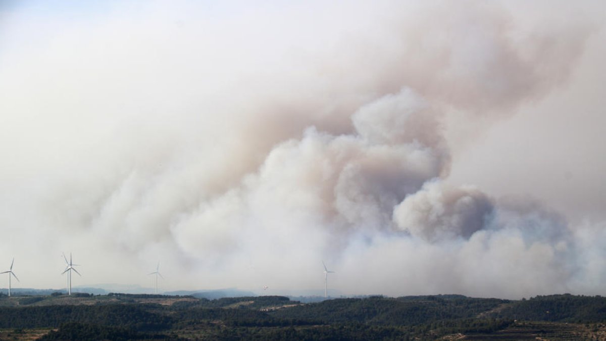 L'incendi de Corbera d'Ebre afecta unes 250 hectàrees amb un potencial de 8.000, segons els Bombers