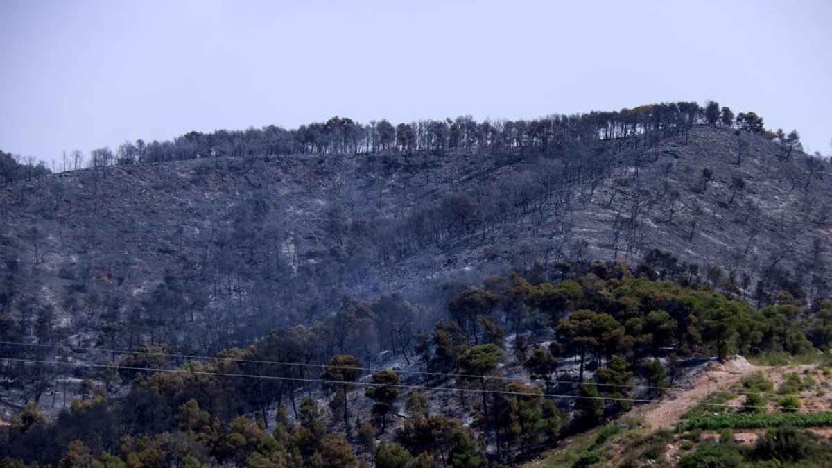 Los Bombers tienen estabilizado el 90% del perímetro del fuego de Corbera d'Ebre
