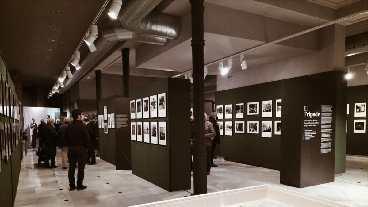 Un catàleg ple d'imatges magistrals