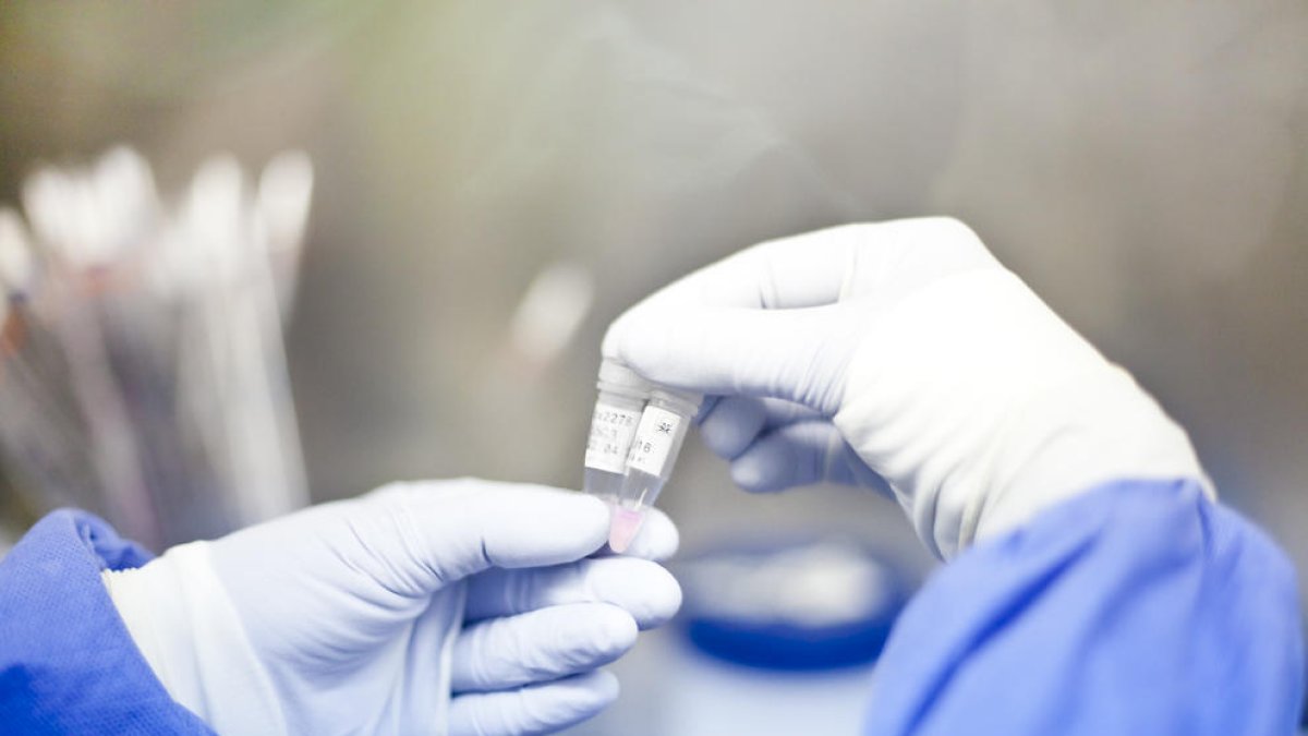 L'inici simultani del tractament antiretroviral i la immunoteràpia permet un millor control del VIH