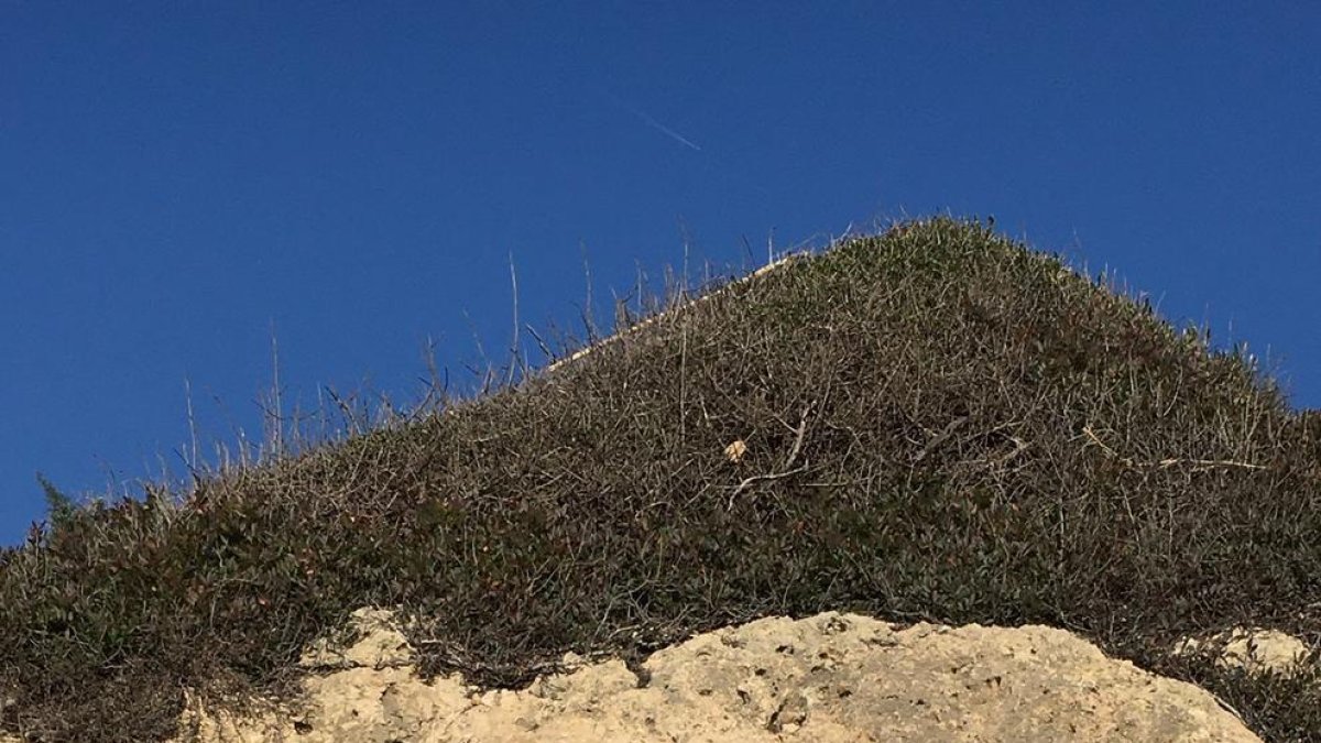 Aparece una cruz en la Savinosa