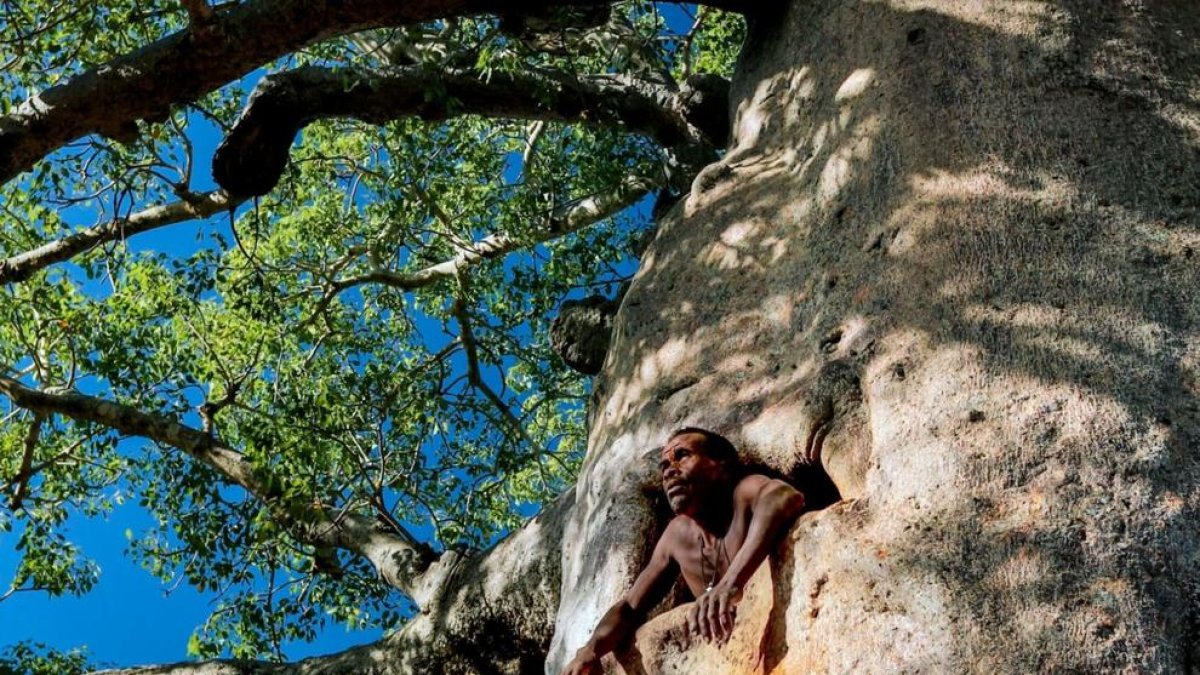 La màgia del viatge es viu a Tortosa