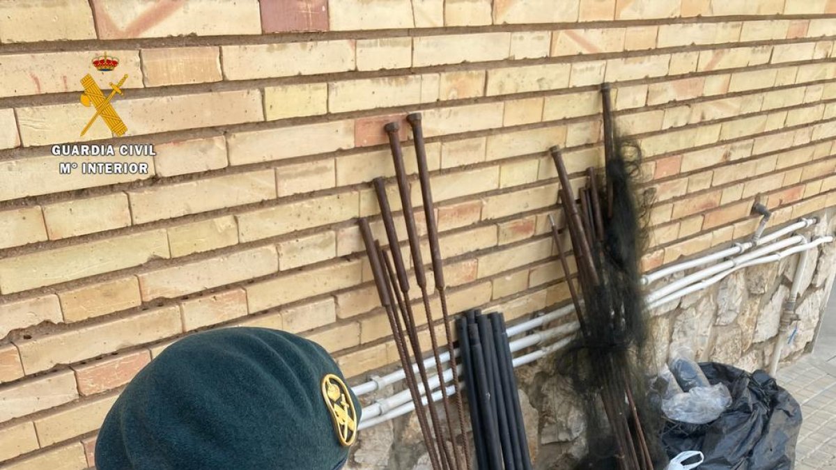 La Guàrdia Civil allibera 47 aus capturades al medi natural a Santa Barbarà