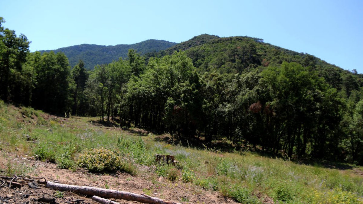 El Govern impulsa la consulta prèvia del nou Parc Natural de les Muntanyes de Prades