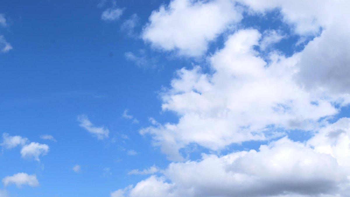 Els abonaments de les línies de bus urbà de titularitat municipal de Tortosa costaran la meitat