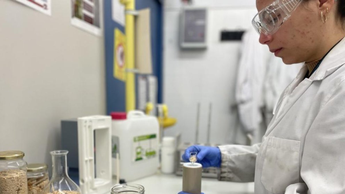 La URV lidera un projecte per produir biocombustibles, fertilitzants i sensors a partir de biomassa