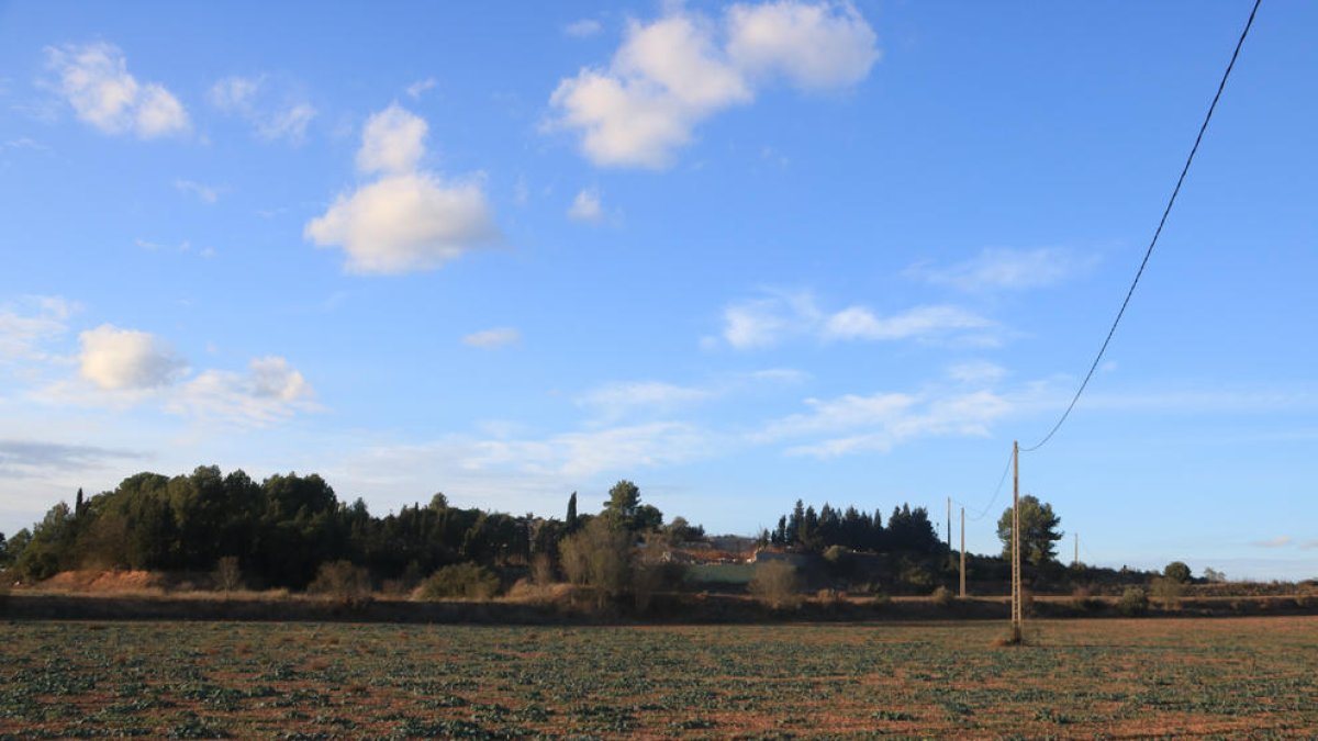 Montblanc aprueba el proyecto de urbanización de los terrenos donde se ubicará Bon Preu