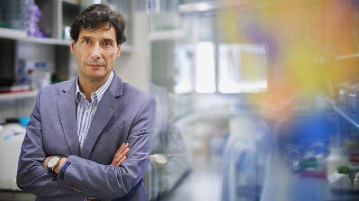 Consiguen rejuvenecer órganos en ratones a través de la reprogramación celular