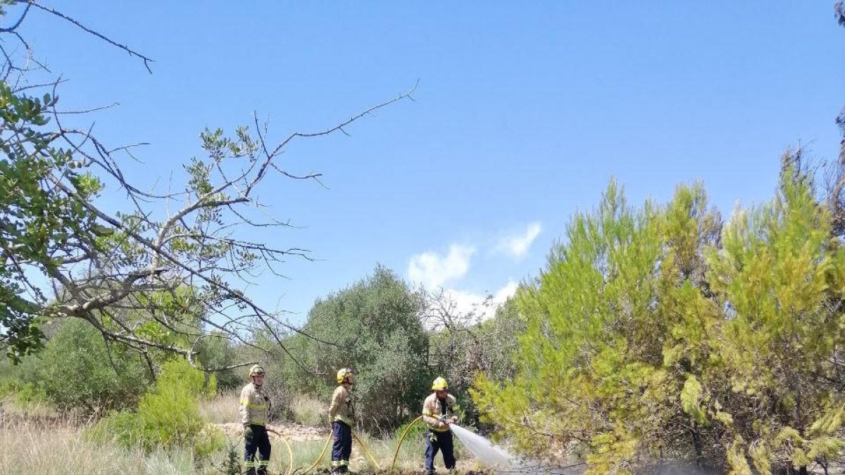 Se incendian unos 550 metros cuadrados de matorrales y masa forestal en Coma-ruga