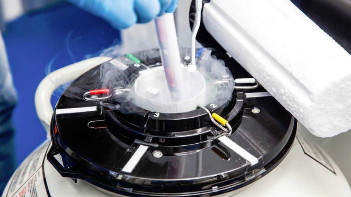 Un estudio determina que el semen congelado es viable para reproducir humanos en el espacio