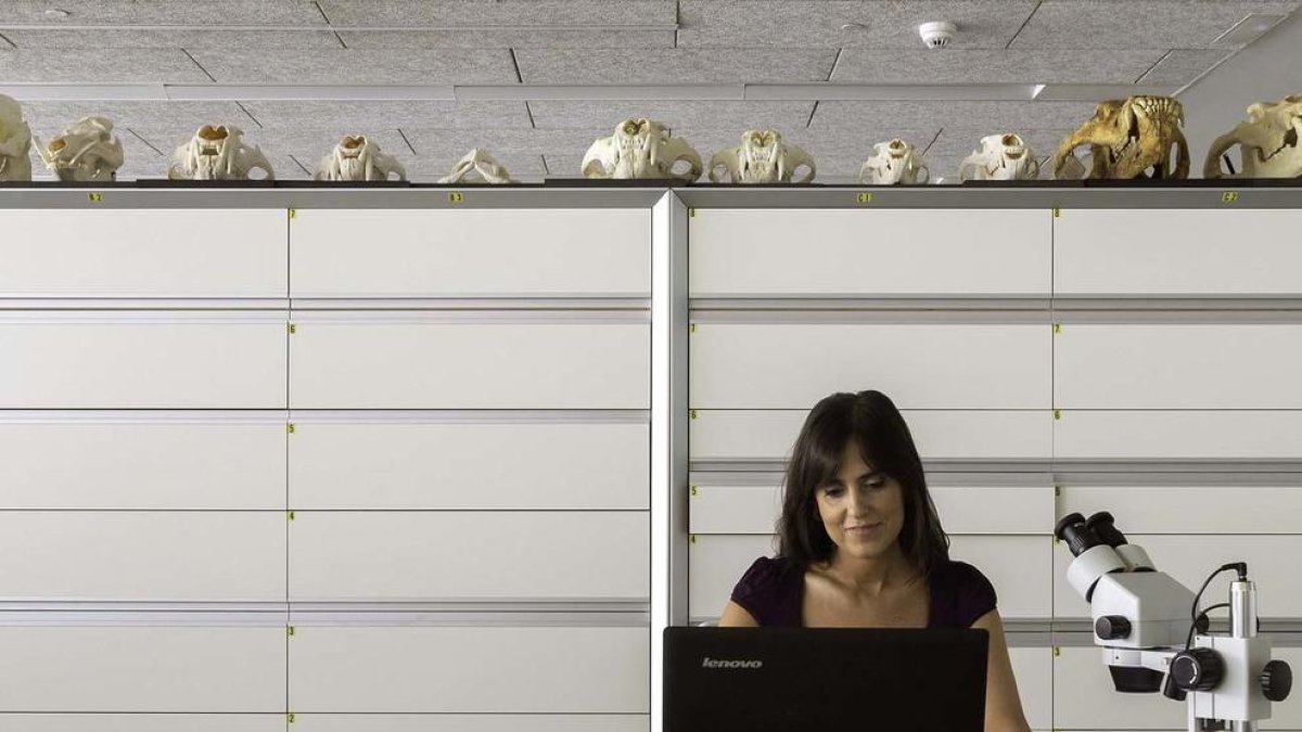 Cuatro investigadores del IPHES-CERCA, entre los más influyentes del mundo