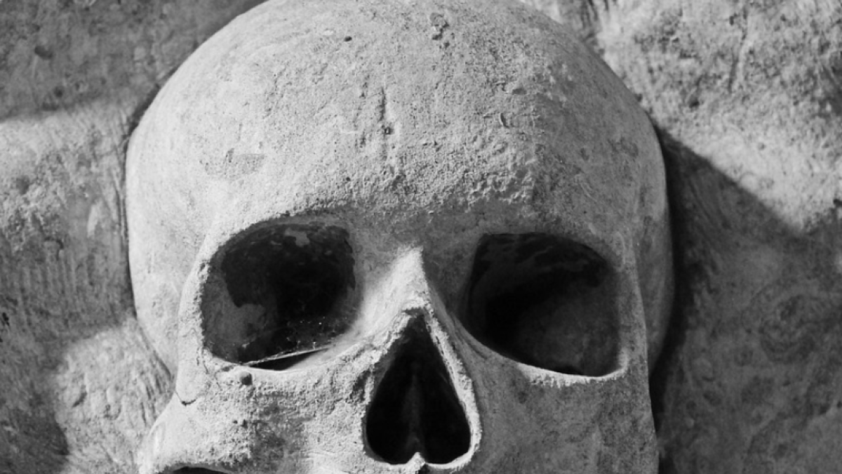 Troba un crani humà en una zona boscosa de Seva i el lliura a la comissaria de Vic