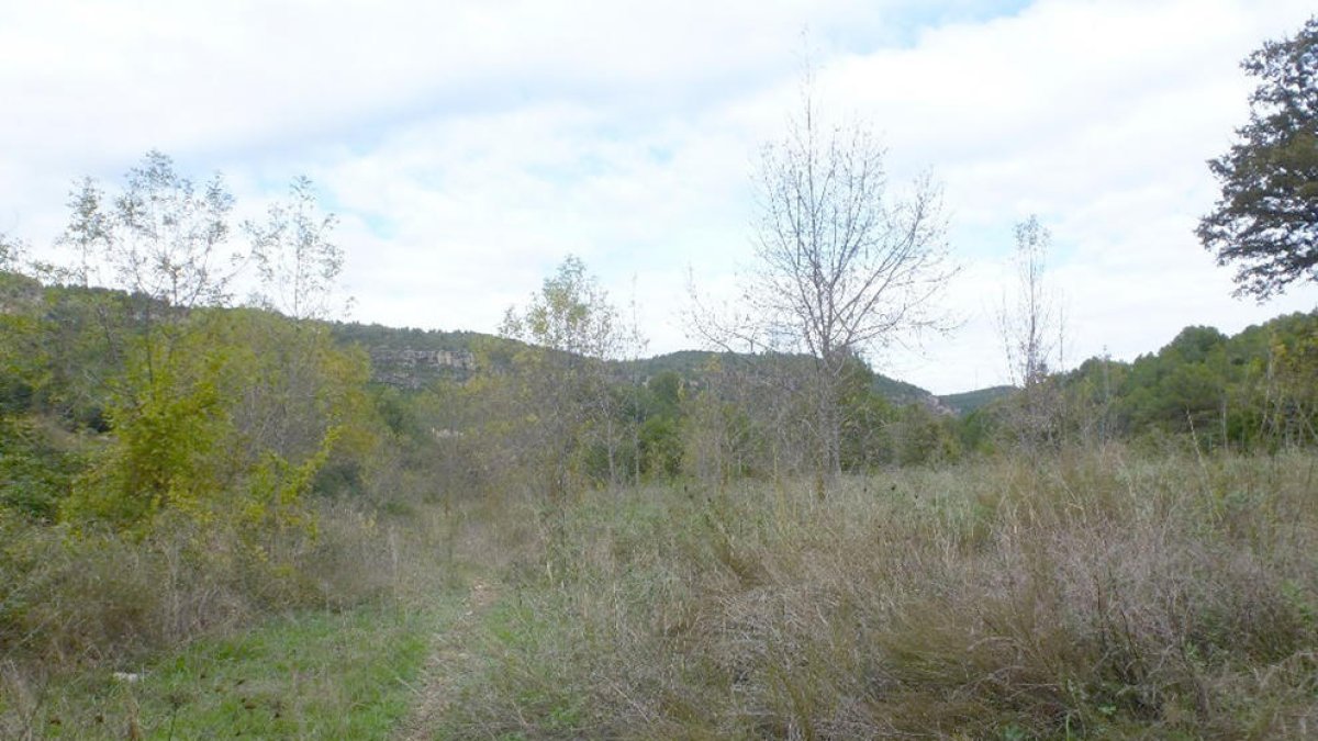L'ACA impulsa la recuperació de l'espai fluvial del riu Gaià a Querol
