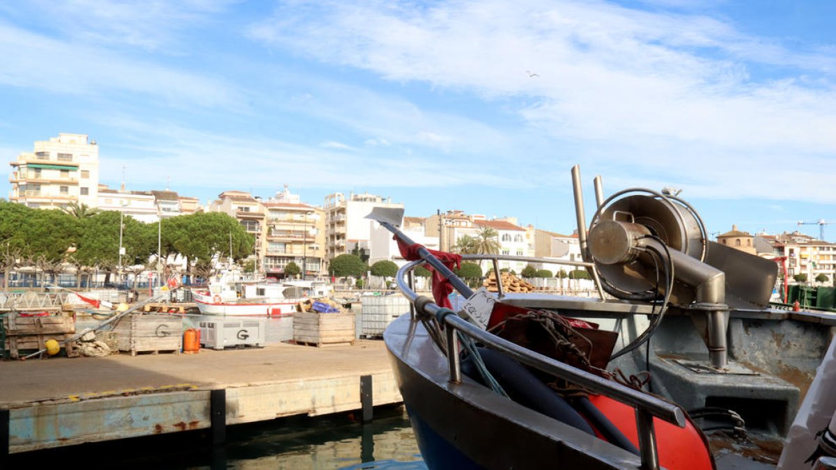 La Confraria de Pescadors de la demarcació es troba «al límit»