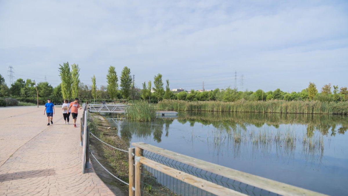 «La llacuna de l'Anella Mediterrània de Tarragona té un problema d'espècies invasores»