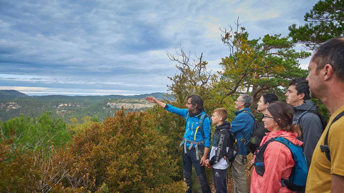 Fer de la descoberta una experiència
