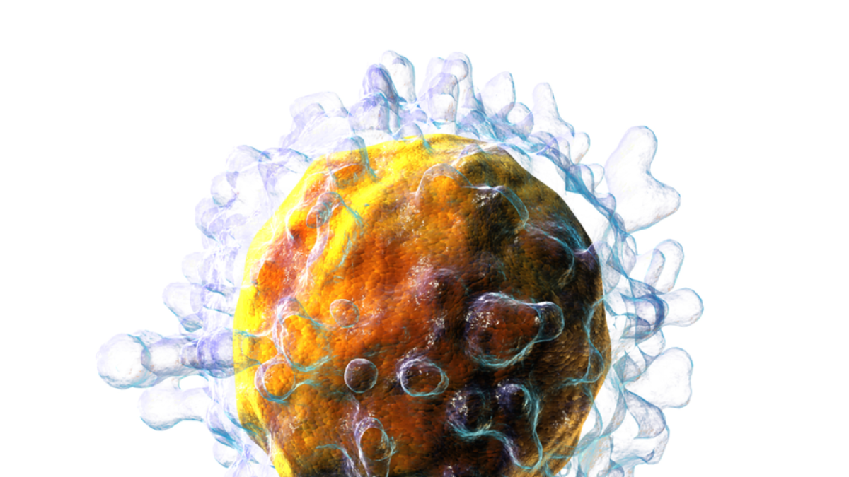 Un nou tractament per al càncer aconsegueix la remissió fins a una dècada després