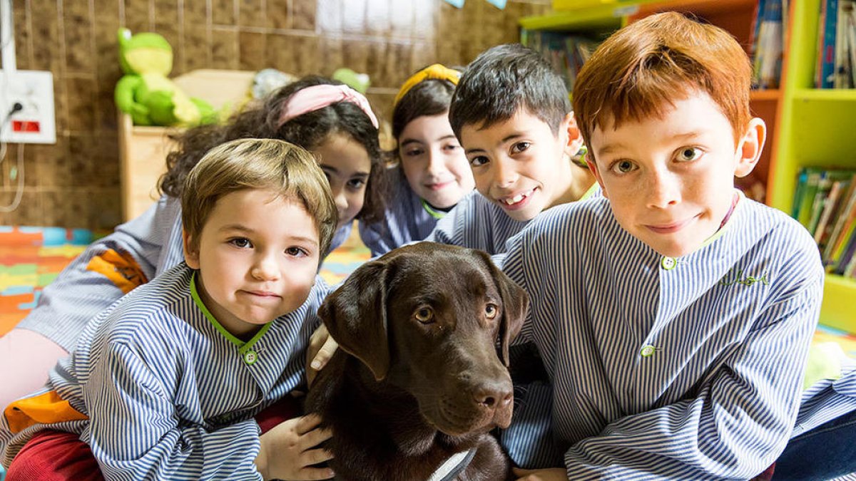Dominiques Tarragona Projecte aula nens escola animal gos educació