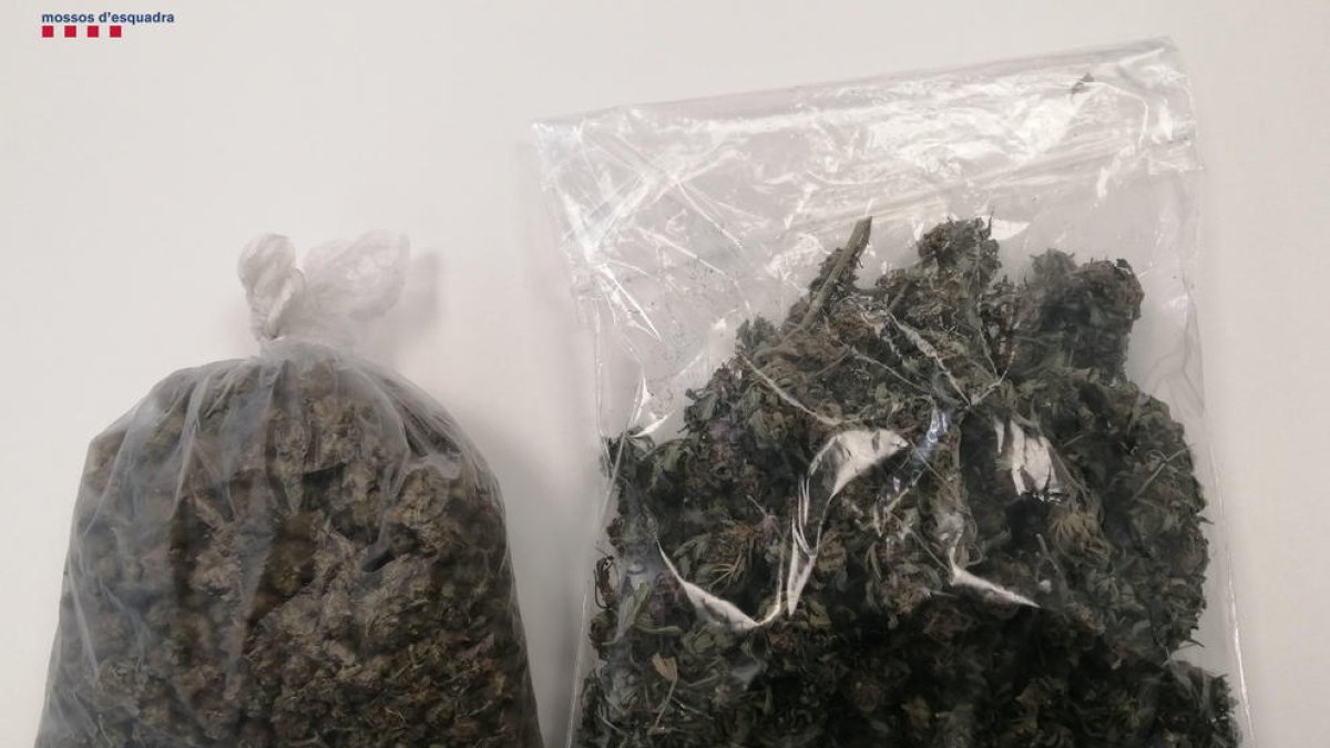 Detingut un home a Banyoles per vendre droga a través de les xarxes socials