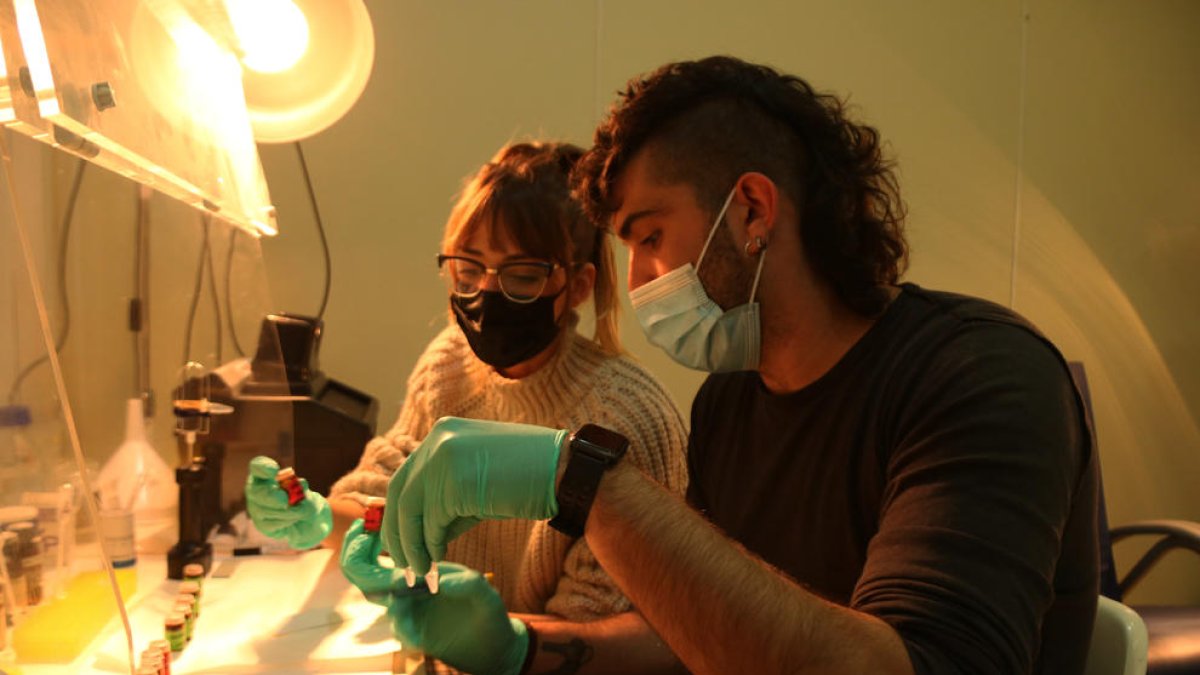 Reus tindrà un centre on els consumidors podran analitzar la droga que prenen