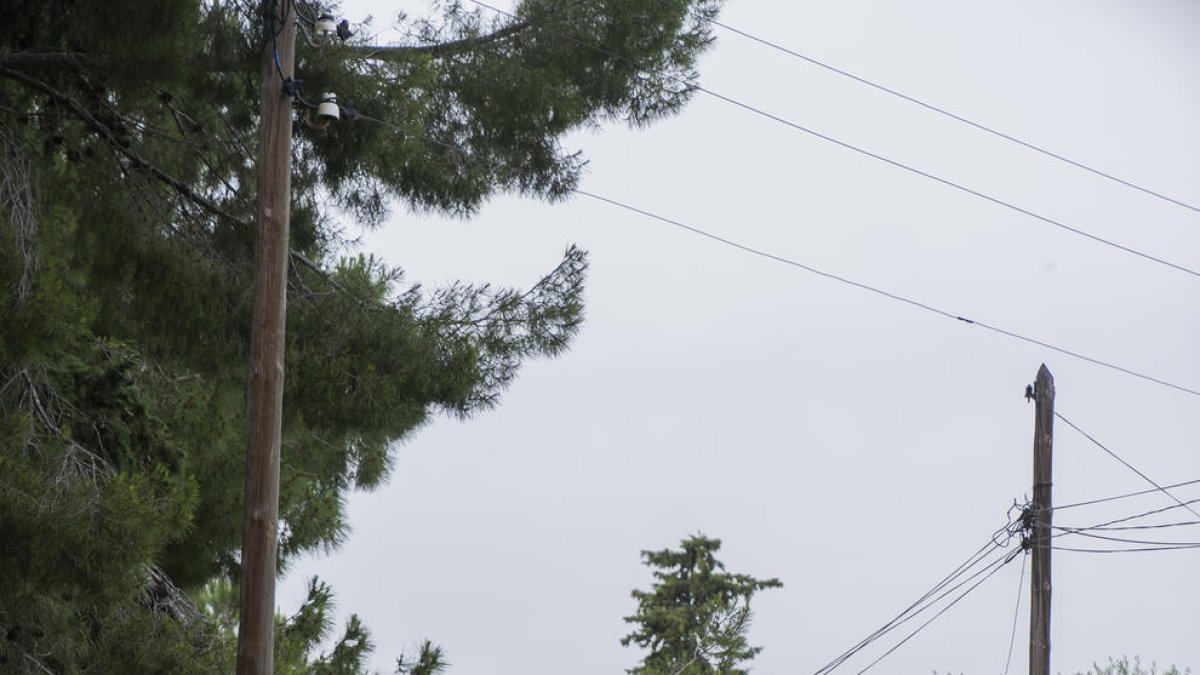 Veïns de la Mineta de Reus reclamen la millora lumínica del barri