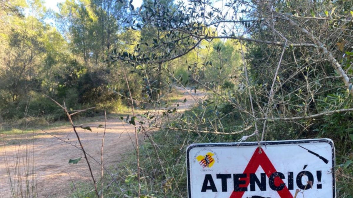 Acció Climàtica presenta el plan de choque para hacer frente a la sobrepoblación de jabalíes en el Ebre