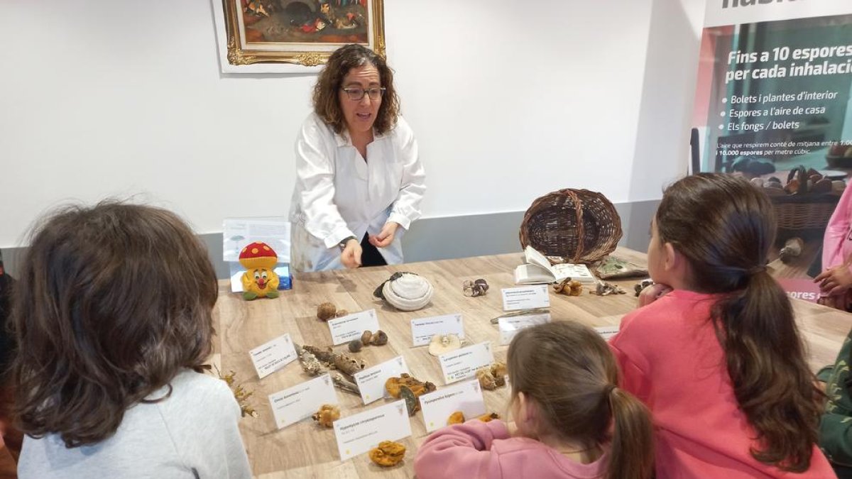 Hongos, los grandes desconocidos