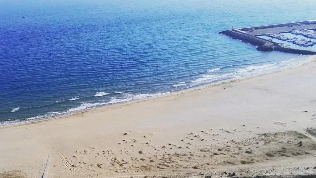 Excavan tres lagunas a Coma-ruga para proteger el sendero camanegre