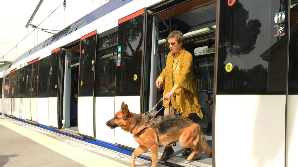 Quince perros guía recorrerán Tarragona para reivindicar su derecho a acceder al transporte público