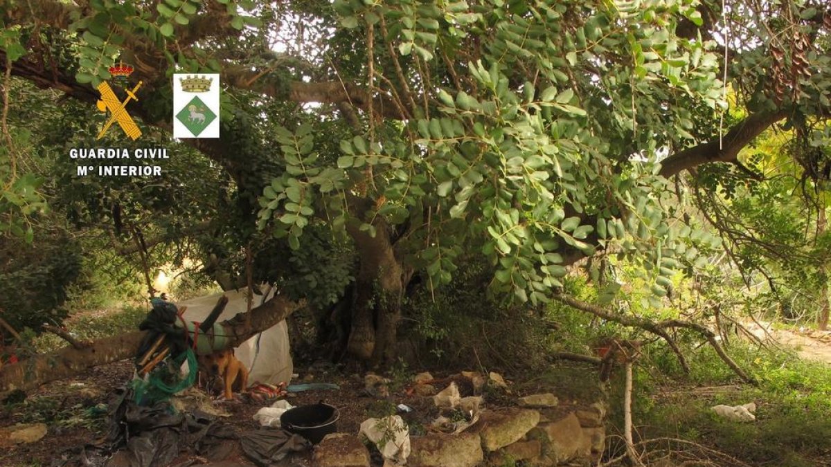 Rescatan un perro en el Catllar que vivía atado con unas cadenas de más de 3 kilos