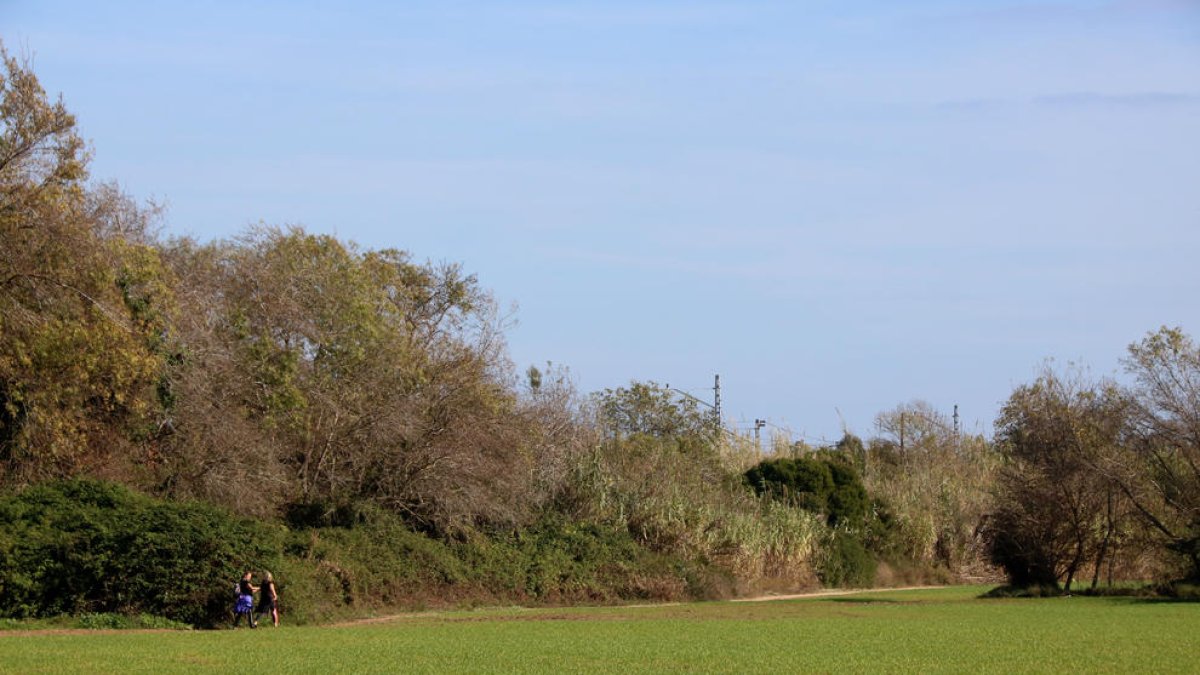 El Govern licita el projecte per a la recuperació de la finca del Vinyet de Tarragona