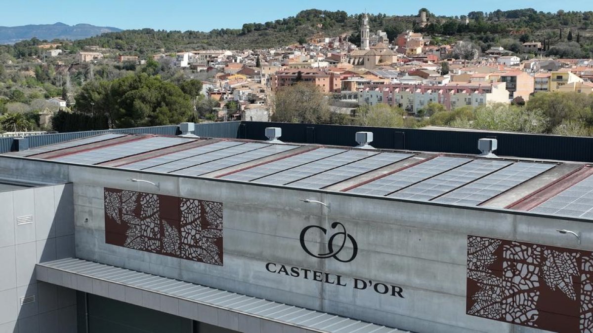 Energia solar per a produir vins i caves més sostenibles, l'aposta de Castell d'Or