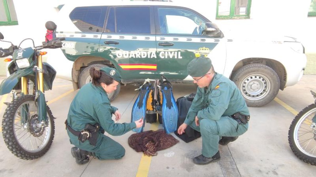 Enxampats 'in fraganti' amb cinc quilos de dàtils de mar a l'Ametlla de Mar