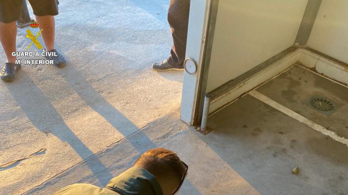 Intervienen 60 kilos de ostrón en el Delta del Ebro recogidos de forma ilegal