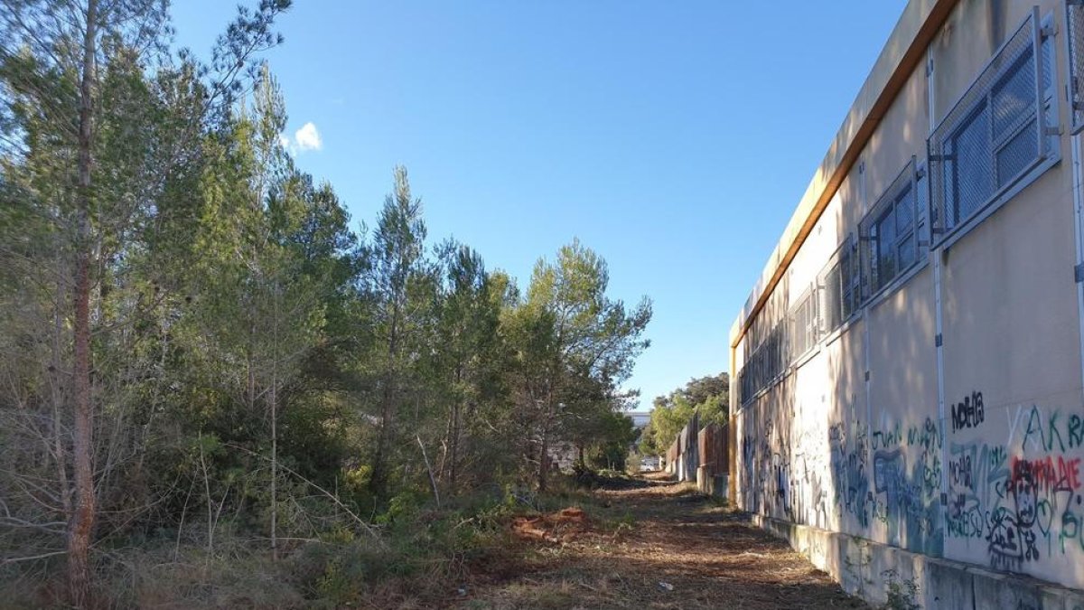 Protección Civil lleva a cabo trabajos forestales en diferentes puntos de Tarragona para evitar incendios