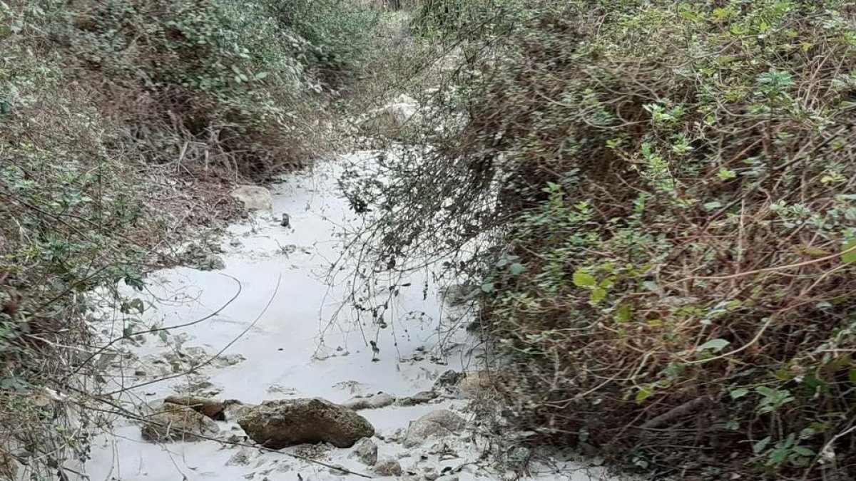 Denuncien un abocament contaminant al Glorieta d'Alcover «que ha aniquilat» la vida a la zona