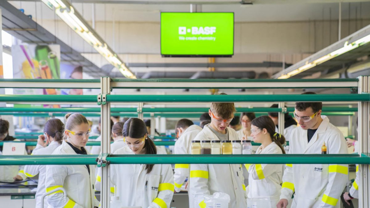 460 alumnos del Camp de Tarragona participan en el programa Teen's Lab de BASF