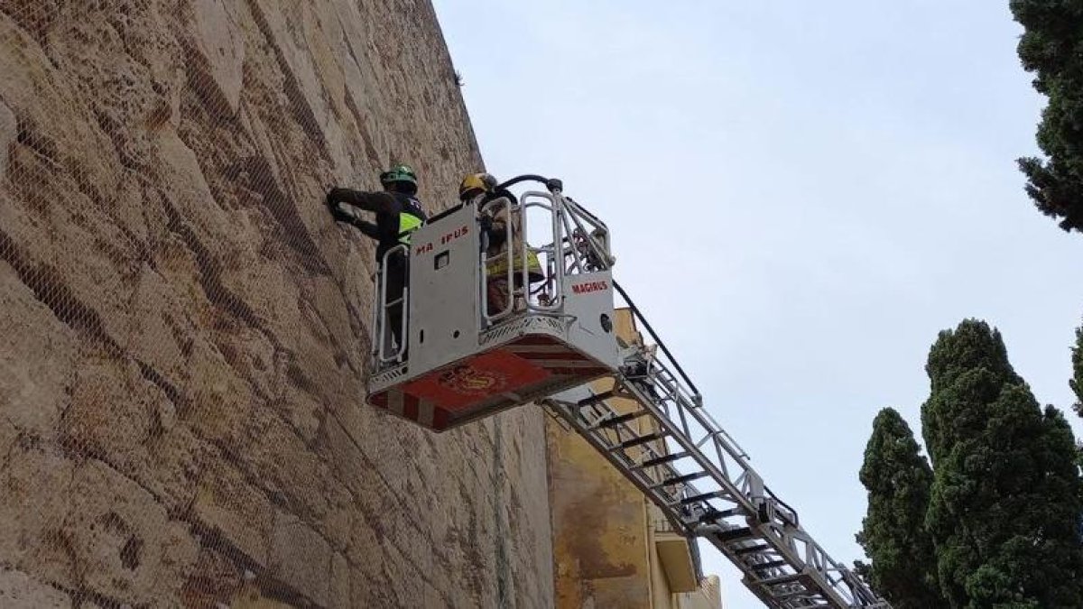 Liberan dos golondrinas atrapadas en una red de la muralla de Tarragona