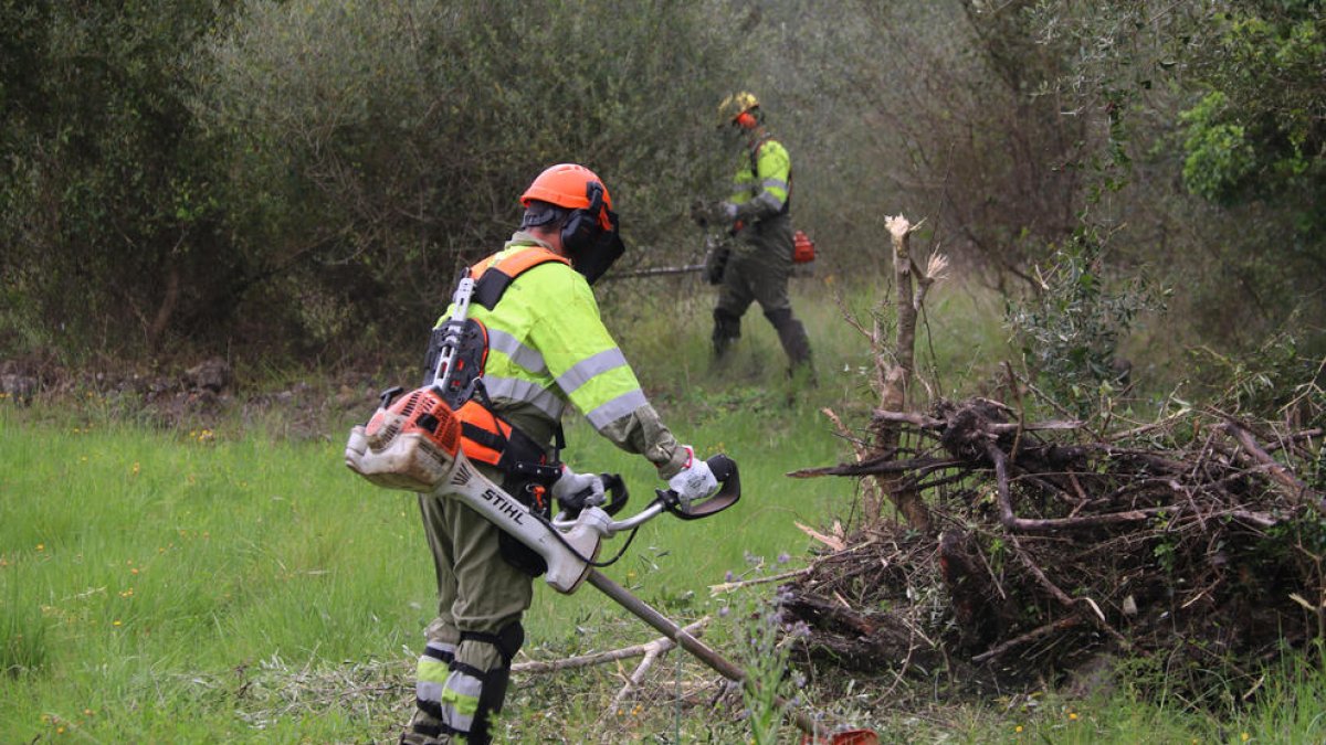 Acción Climática prepara los macizos ebrenses contra los incendios