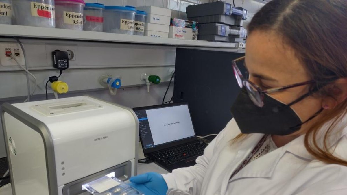 La URV valida un prototipo para detectar la osteoporosis en fase inicial