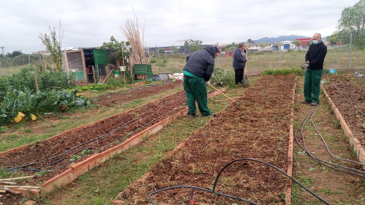Els plans d'experienciació del projecte Treball als barris de Mas Carandell donen feina a 10 persones
