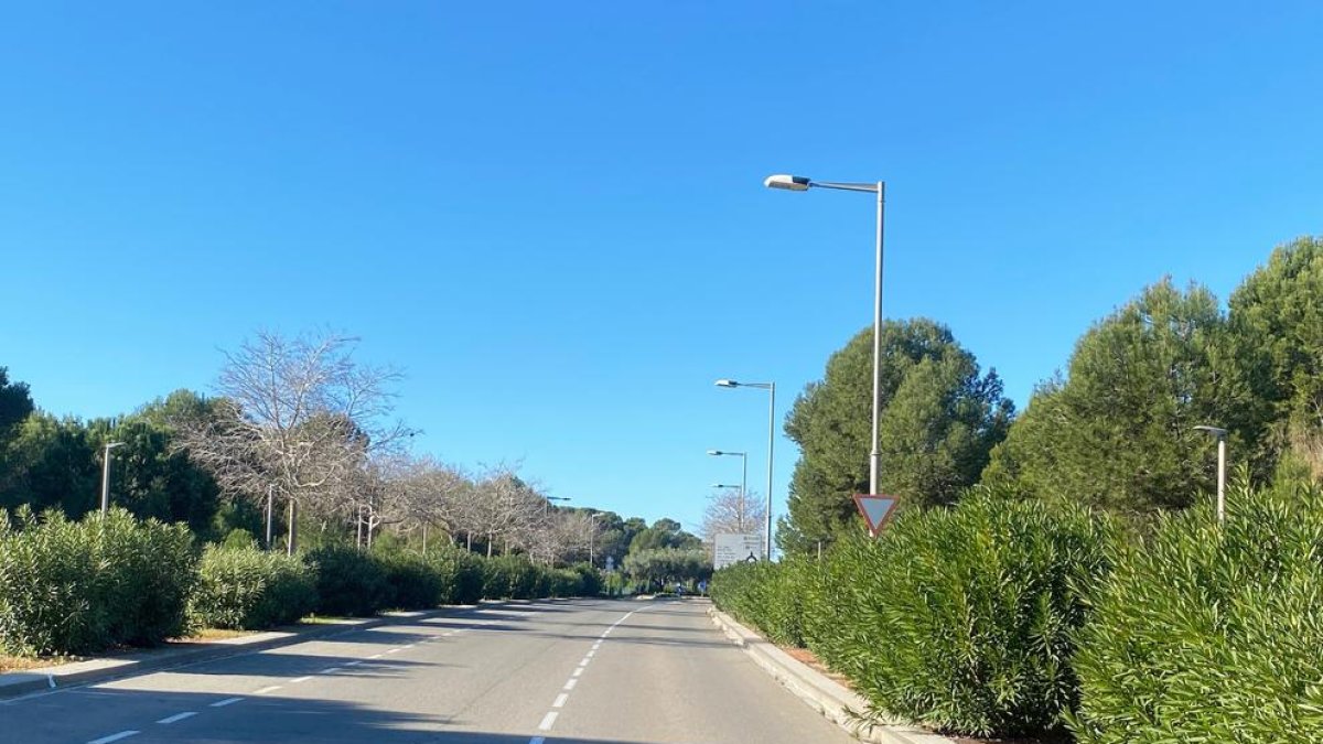 Salou actualizará el sistema de riego y replantará los almeces en un tramo del Pla de Maset