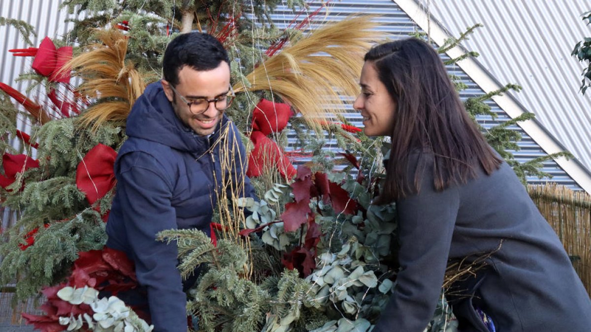 El Ayuntamiento de Tarragona dará una «segunda vida» a una setentena de árboles de Navidad
