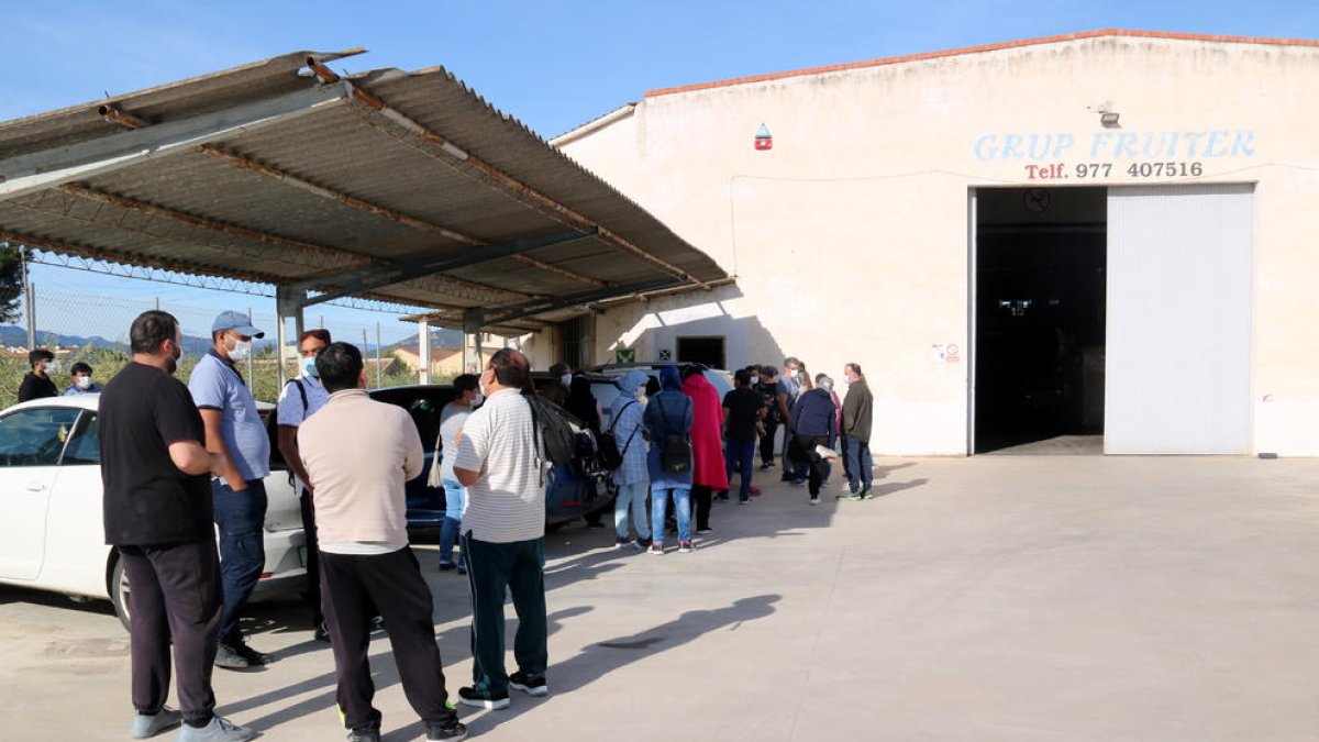 El Grup Fruiter de Benissanet es fusiona amb la cooperativa