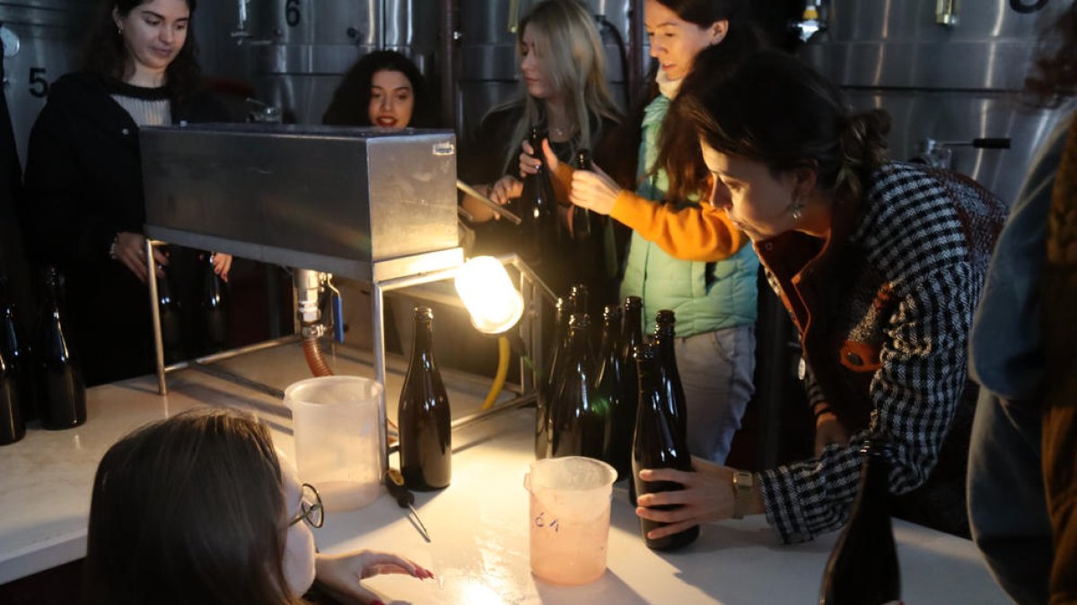 Estudiants internacionals elaboren i embotellen el seu propi vi en un celler de Constantí