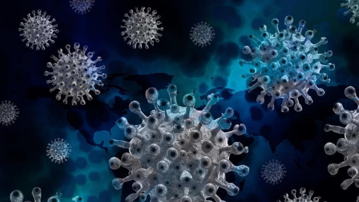 Descobreixen el primer organisme capaç de menjar-se exclusivament als virus