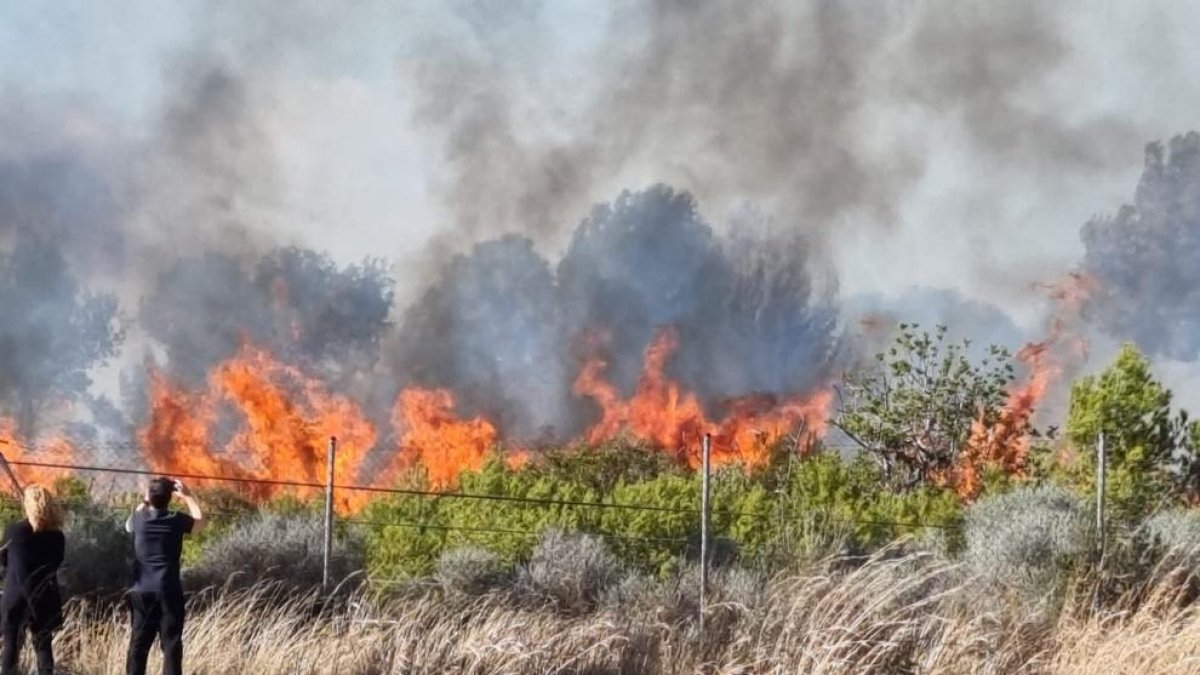 Almenys 18 dotacions dels Bombers treballen en un incendi a Roda de Berà